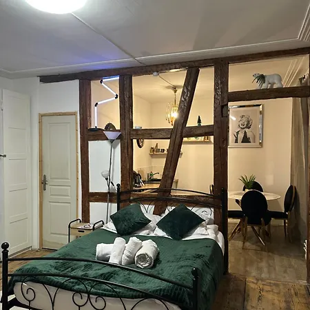 Apparemment Gütenberg-cathedrale Straatsburg